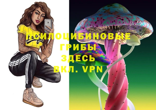 ешки Абаза