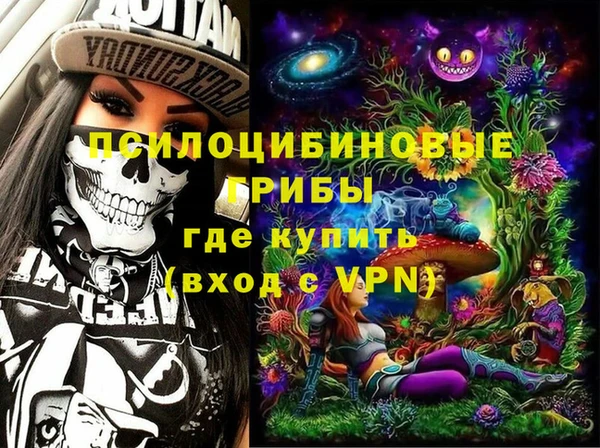 хмурый Алексеевка