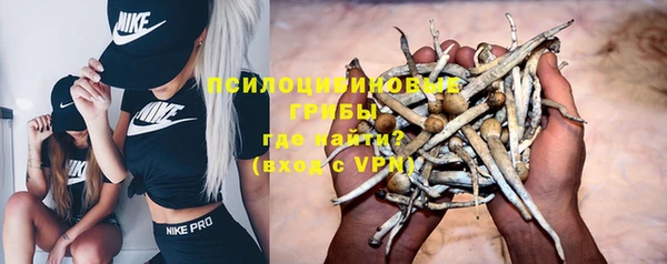 ешки Краснослободск